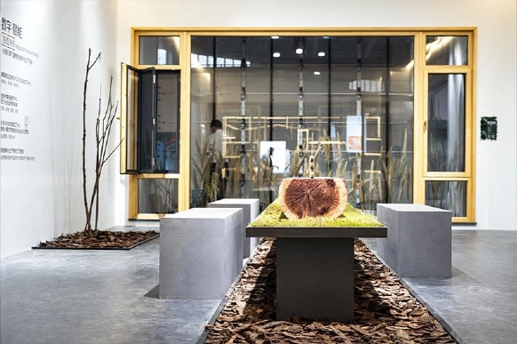 Cypress Wood Casement Windows 