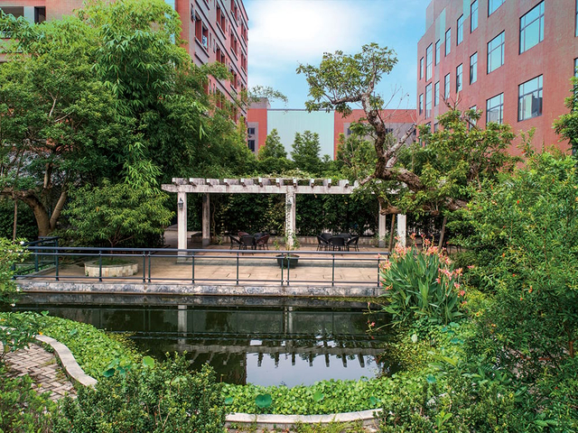Corporate garden walkway and water feature