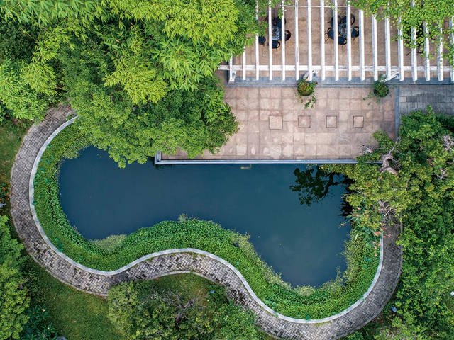 Company campus landscape garden with pond